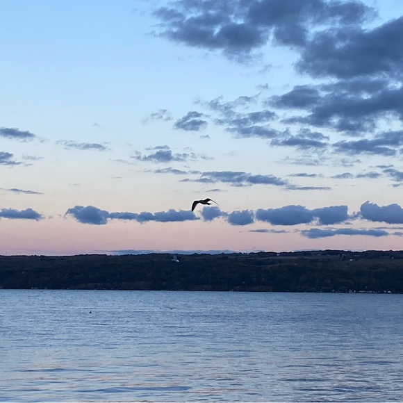 Meet your Posher, Allison - Picture 1 of 1